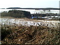 View towards the railway line from Sacombe Road