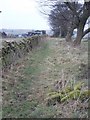 Footpath - Back Lane