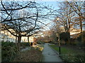 Path just off Rockstone Place