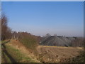 Disused railway and spoil heap near Robin Hood