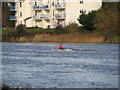 Rowing on River Bann