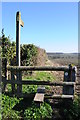 Footpath to Wadborough