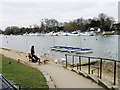 Feeding the birds, Riverbank