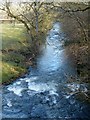 Afon Rhiw - looking downstream from Newmills Bridge