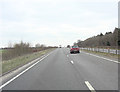 A43 beside Park Farm Belt