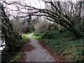 Riverside walk, Drudgeon