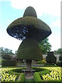 SD4985 : Towering topiary, Levens Hall by Barbara Carr