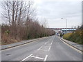 Middleton Grove - viewed from John Charles Approach