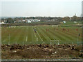 Playing fields, Stanmore