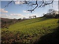 Field above Woodtown