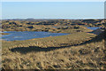SS7882 : Flooded duneland at Kenfig Nature Reserve by eswales