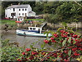 River Wear at Cox Green