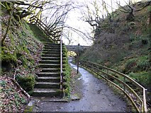 H2774 : Steep steps, Sloughan Glen by Kenneth  Allen