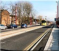 Tram at Droylsden