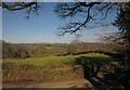 Field near Westcott