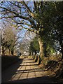 Lane to Chagford