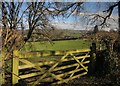 Gate and field, Westcott