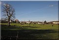 Pasture near Chagford