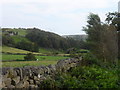 Stone Wall west of Rothbury