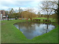 The village pond, Chalfont St Giles