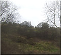 Rough grazing near New Mills