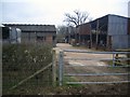 Horses in Shed