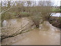 River Stour in flood from the Greenway