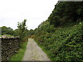 SD2989 : The track from High Nibthwaite to Selside by David Purchase