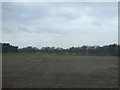 Farmland near Chelford