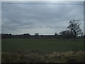 Farmland with trees