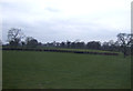 Farmland near Bridge Farm