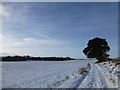 Roman road in winter