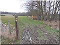 Footpath fork off Lower Farm Road