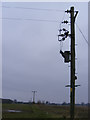 TM4470 : Electricity Pole off Lymballs Lane by Geographer