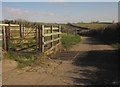 Farm road to Barleycombe