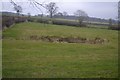 Fenced Pond near Hole House Beck, Denton