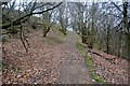 Footpath in Fairy Dell above Bow Beck Gill