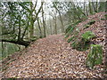 Part of the zig-zag path below Cleddon Shoots above Llandogo