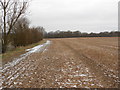 Field off Peens Lane, Boughton Monchelsea (1)