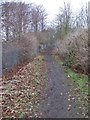 Footpath - Primley Park Road