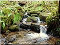 Hidden little waterfall