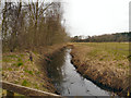 Drainage Ditch, Formby Moss