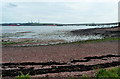 Gelliswick Bay, Milford Haven