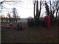 Bryanston: pony and phone box