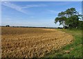 Fields by High Cross Lane