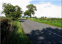 SK6507 : Beeby Road towards South Croxton by Andrew Tatlow