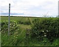 Footpath to Exton