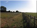 Fields at Maggots End