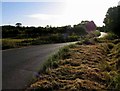 Towards Bentfield Bury