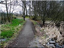H5776 : Pathway, Loughmacrory by Kenneth  Allen